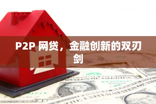 东乡族P2P 网贷，金融创新的双刃剑