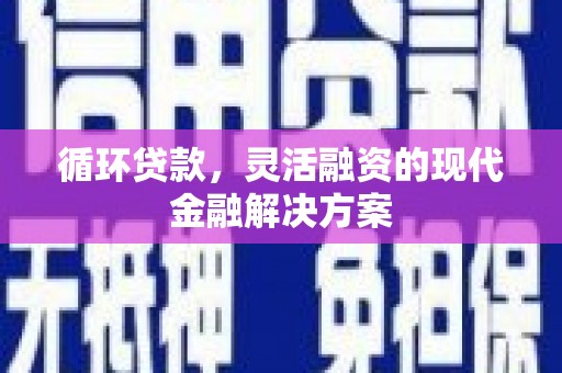 东乡族循环贷款，灵活融资的现代金融解决方案