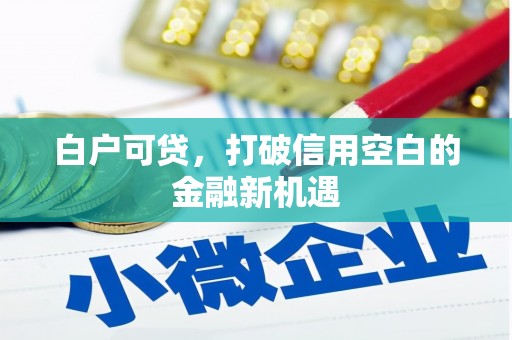 东乡族白户可贷，打破信用空白的金融新机遇