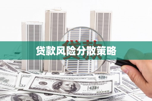 东乡族贷款风险分散策略
