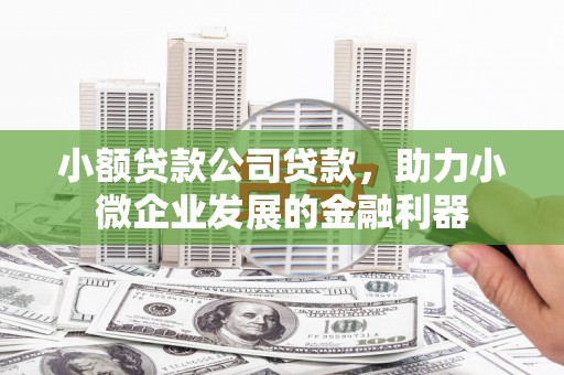 东乡族小额贷款公司贷款，助力小微企业发展的金融利器