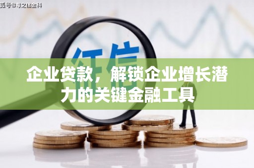 东乡族企业贷款，解锁企业增长潜力的关键金融工具