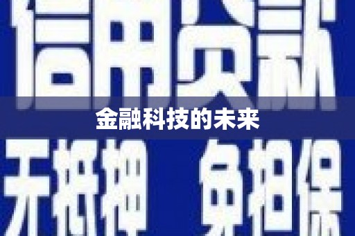 东乡族金融科技的未来