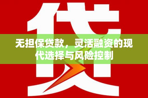 东乡族无担保贷款，灵活融资的现代选择与风险控制