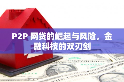东乡族P2P 网贷的崛起与风险，金融科技的双刃剑