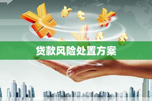 东乡族贷款风险处置方案