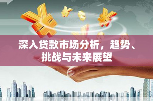东乡族深入贷款市场分析，趋势、挑战与未来展望