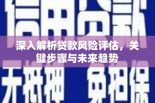 东乡族深入解析贷款风险评估，关键步骤与未来趋势