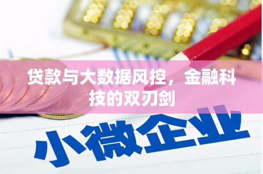 东乡族贷款与大数据风控，金融科技的双刃剑