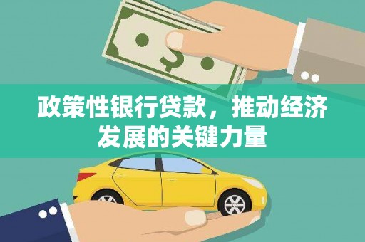 东乡族政策性银行贷款，推动经济发展的关键力量