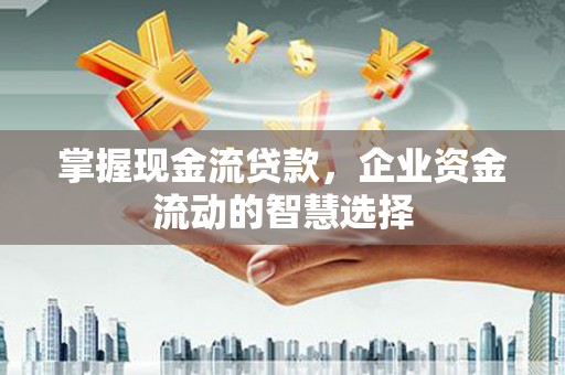 东乡族掌握现金流贷款，企业资金流动的智慧选择