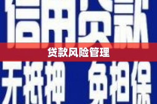 东乡族贷款风险管理