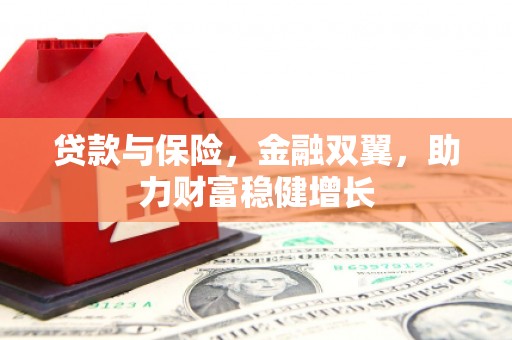东乡族贷款与保险，金融双翼，助力财富稳健增长