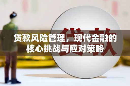 东乡族贷款风险管理，现代金融的核心挑战与应对策略