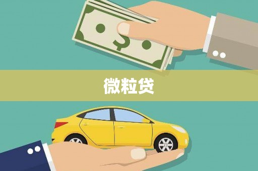 东乡族微粒贷