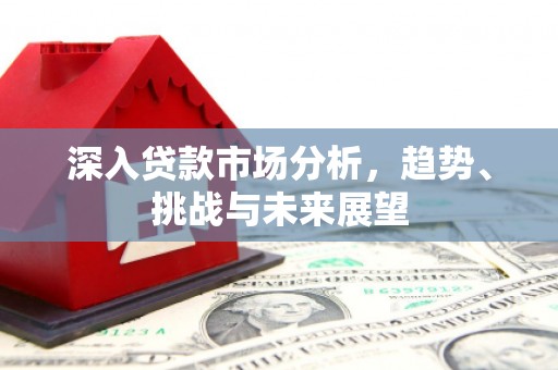 东乡族深入贷款市场分析，趋势、挑战与未来展望
