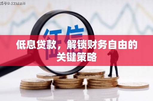 东乡族低息贷款，解锁财务自由的关键策略