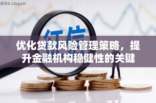 东乡族优化贷款风险管理策略，提升金融机构稳健性的关键