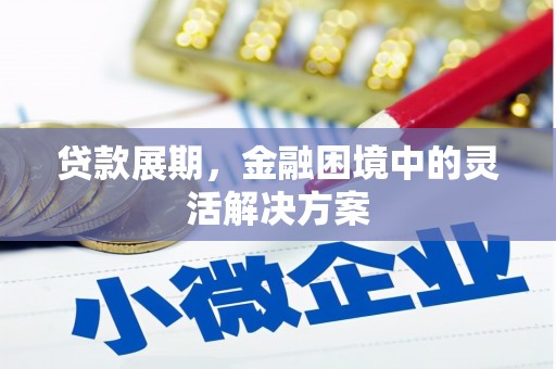 东乡族贷款展期，金融困境中的灵活解决方案