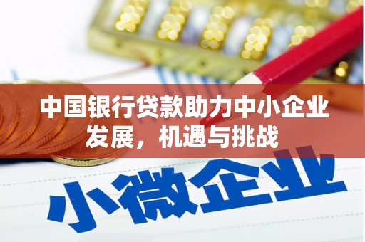 东乡族中国银行贷款助力中小企业发展，机遇与挑战