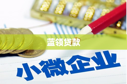 东乡族蓝领贷款