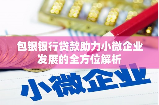 东乡族包银银行贷款助力小微企业发展的全方位解析