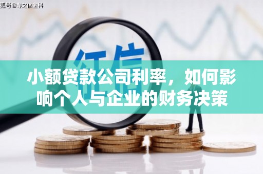 东乡族小额贷款公司利率，如何影响个人与企业的财务决策