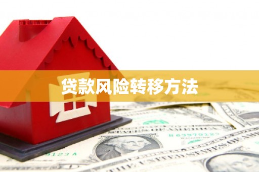 东乡族贷款风险转移方法