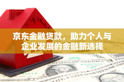 东乡族京东金融贷款，助力个人与企业发展的金融新选择