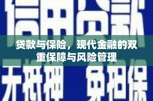 东乡族贷款与保险，现代金融的双重保障与风险管理