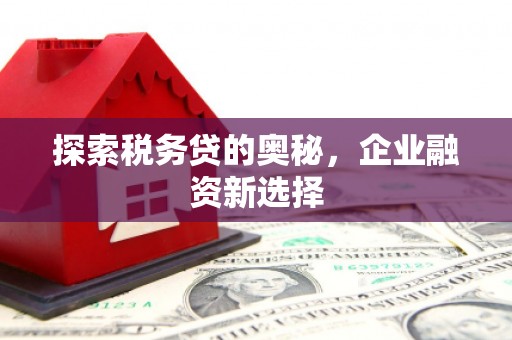 东乡族探索税务贷的奥秘，企业融资新选择