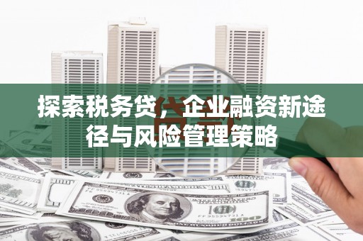 东乡族探索税务贷，企业融资新途径与风险管理策略