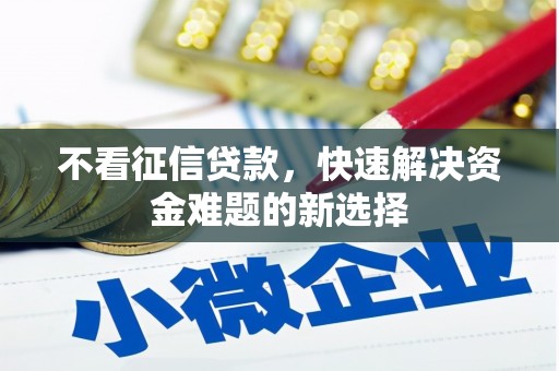 东乡族不看征信贷款，快速解决资金难题的新选择
