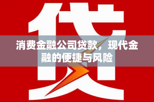 东乡族消费金融公司贷款，现代金融的便捷与风险