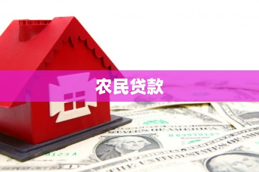 东乡族农民贷款