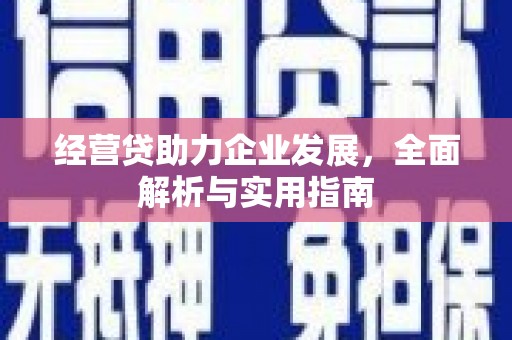 东乡族经营贷助力企业发展，全面解析与实用指南