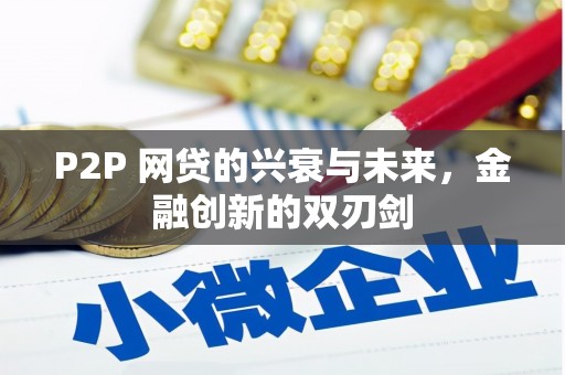东乡族P2P 网贷的兴衰与未来，金融创新的双刃剑