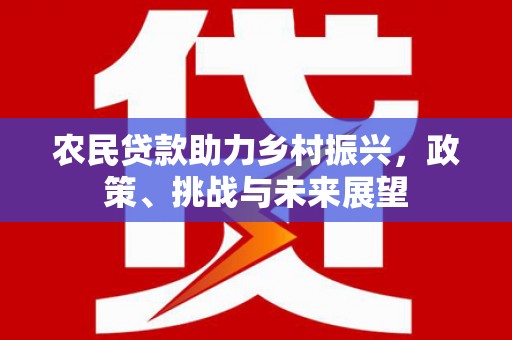 东乡族农民贷款助力乡村振兴，政策、挑战与未来展望