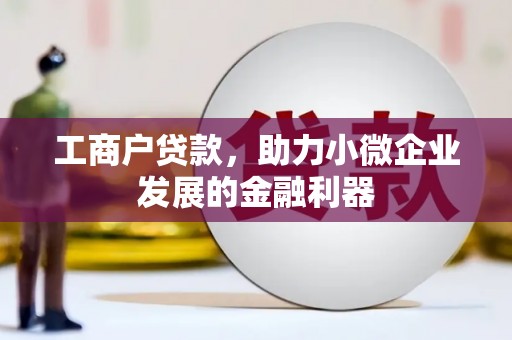 东乡族工商户贷款，助力小微企业发展的金融利器