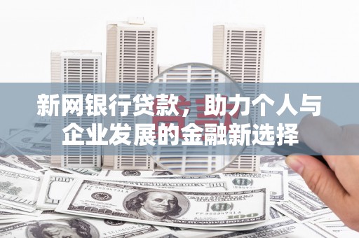 东乡族新网银行贷款，助力个人与企业发展的金融新选择