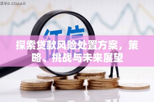 东乡族探索贷款风险处置方案，策略、挑战与未来展望