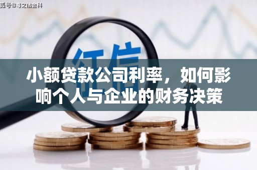 东乡族小额贷款公司利率，如何影响个人与企业的财务决策