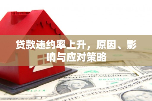 东乡族贷款违约率上升，原因、影响与应对策略