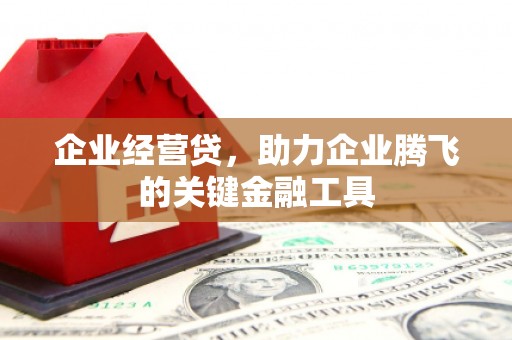 东乡族企业经营贷，助力企业腾飞的关键金融工具