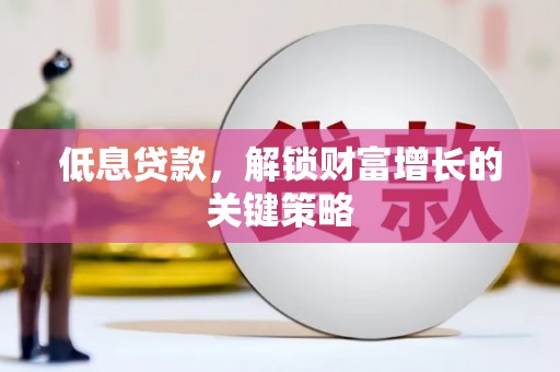 东乡族低息贷款，解锁财富增长的关键策略
