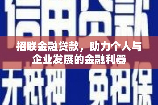 东乡族招联金融贷款，助力个人与企业发展的金融利器