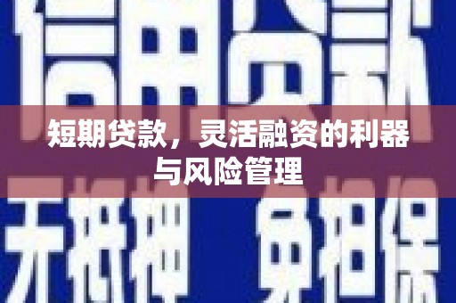 东乡族短期贷款，灵活融资的利器与风险管理