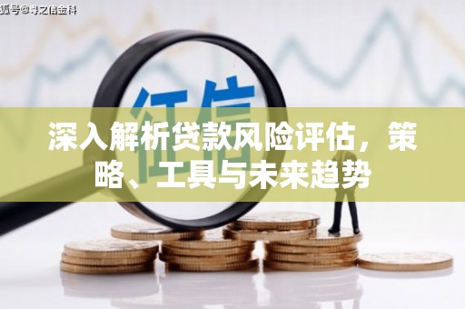 东乡族深入解析贷款风险评估，策略、工具与未来趋势