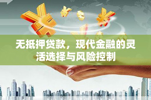 东乡族无抵押贷款，现代金融的灵活选择与风险控制