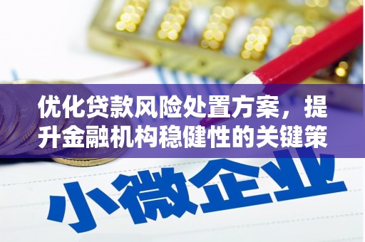 东乡族优化贷款风险处置方案，提升金融机构稳健性的关键策略